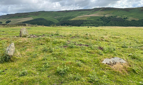Crook Hill Stone Circle