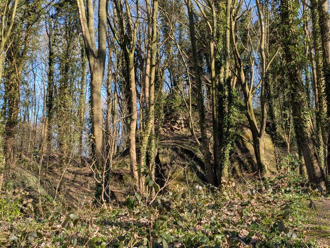 The remains of Horsley Castle