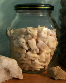 A jar of human teeth