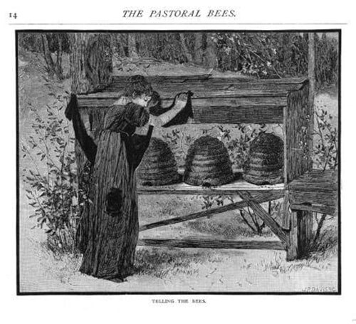 Telling the Bees. A drawing from 1879.